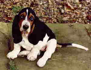 Lucy - Click for Large