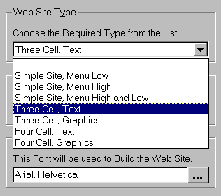 Web Site Type