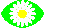 Daisy Analysis